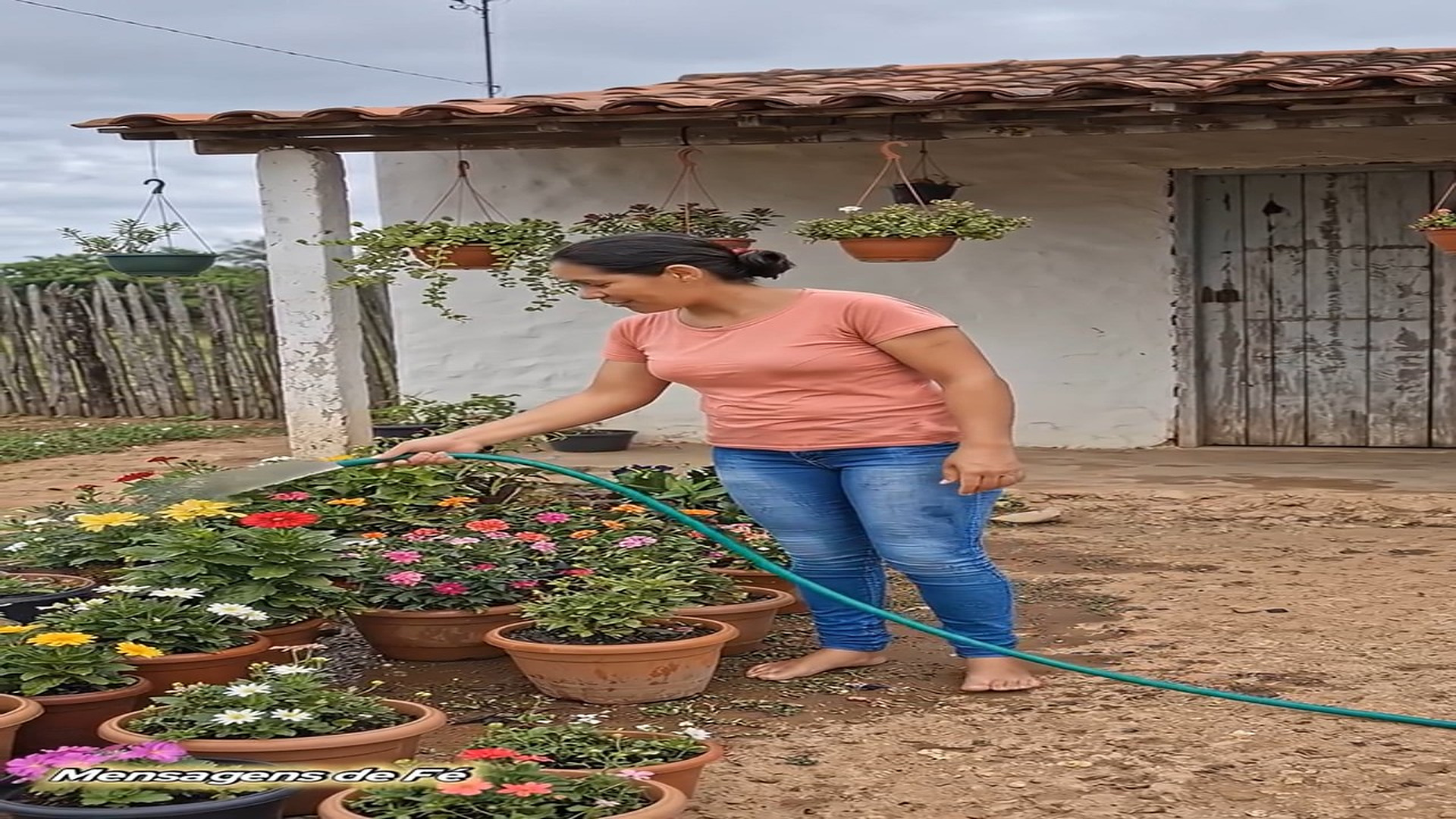 Parte 2 : N2807066_Às vez a gente fica olhando pra vida dos outros achando que lá existe